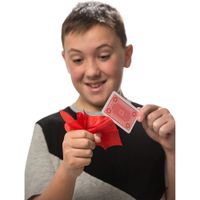 Collezione dei 60 migliori trucchi magici - Marvin's Magic