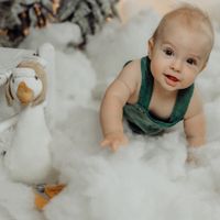 Peluche Avery the Aviator Snowgoose - Bunnies By The Bay