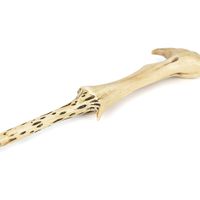 Bacchetta magica di Lord Voldemort - Harry Potter