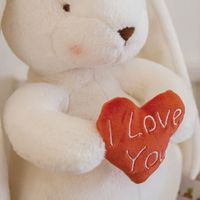 Coniglietto Bunny con cuore "I Love You" 20 cm - Bunnies By The Bay