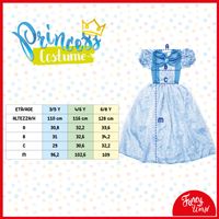 Costume Principessa del Ghiaccio da 3 a 8 anni - Fancy World