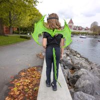 Ali Drago Verde - Great Pretenders