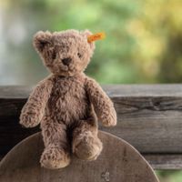 Peluche Orsetto Teddy Thommy 29 cm - Steiff