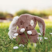 Peluche Baby Harriet - Bunnies By The Bay
