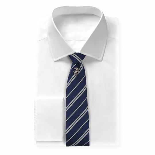 Cravatta deluxe Corvonero con spilla - Harry Potter
