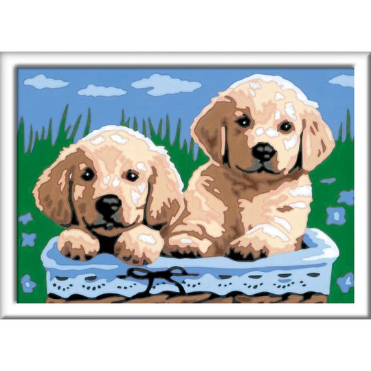 Creart Cani Retriever, Serie E, Kit per dipingere con i numeri - Creart