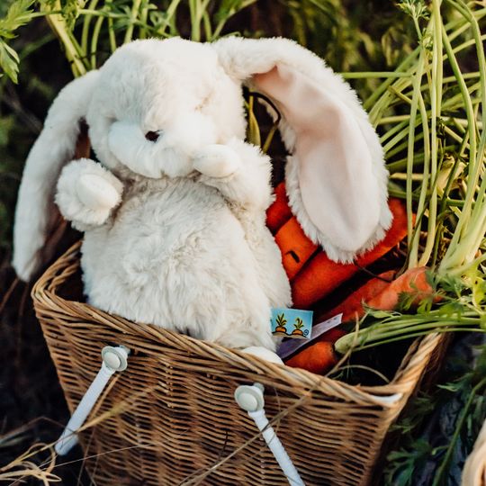 Peluche Tiny Nibble Cream Bunny 20 cm - Bunnies By The Bay