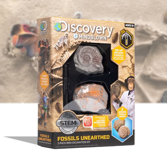 Kit paleontologo con 2 mini fossili - Discovery Mindblown