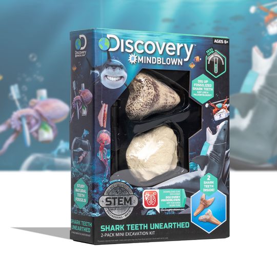 Kit paleontologo con 2 denti di squalo - Discovery Mindblown