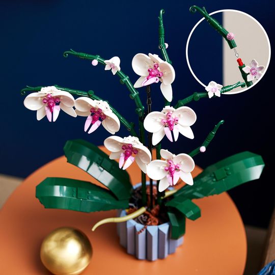 LEGO Icons 10311 Orchidea, Botanical Collection - LEGO
