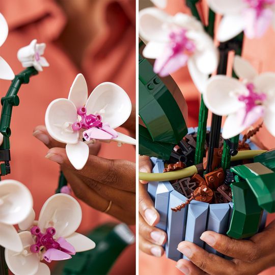 LEGO Icons 10311 Orchidea, Botanical Collection - LEGO