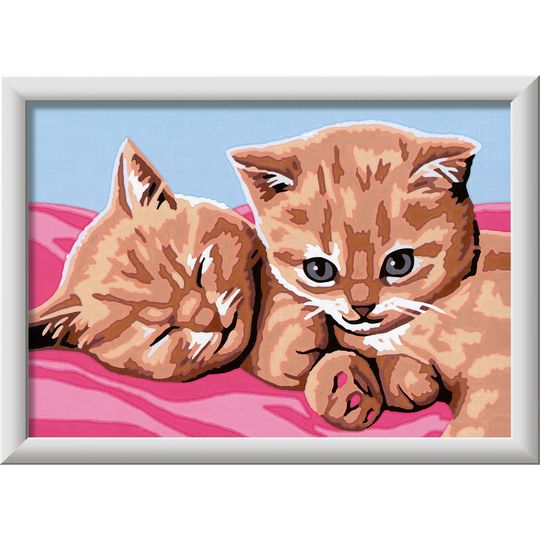 Creart Gattini rossi, Serie E, Kit per dipingere con i numeri - Creart