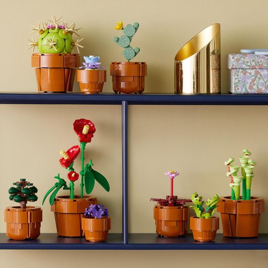 LEGO Icons 10329 Piantine, Botanical Collection - LEGO
