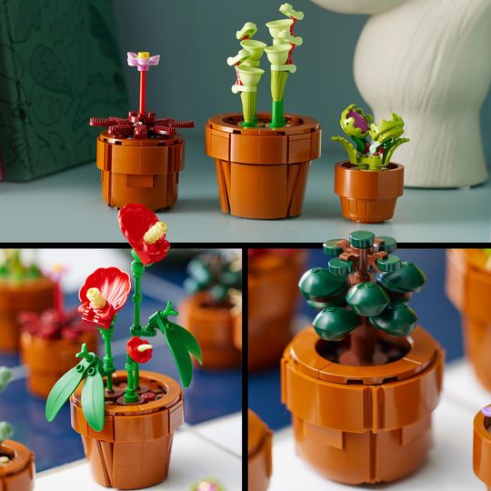 LEGO Icons 10329 Piantine, Botanical Collection - LEGO