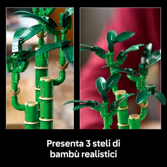 Lego Botanicals 10344 Bambù del Buon Auspicio - LEGO