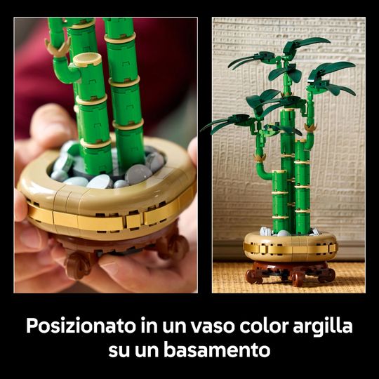 Lego Botanicals 10344 Bambù del Buon Auspicio - LEGO