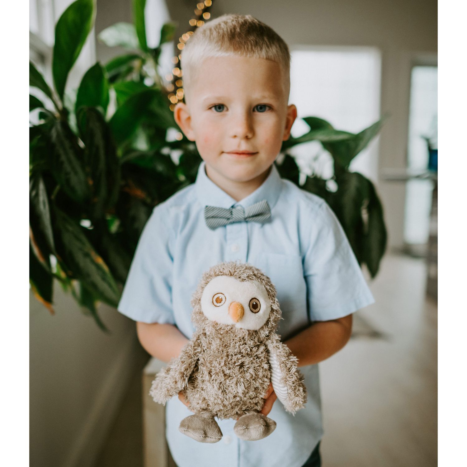 Peluche Blink Owl - Bunnies By The Bay