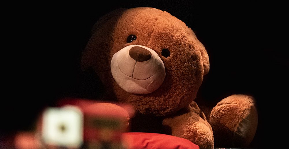 L'orsacchiotto Poldo