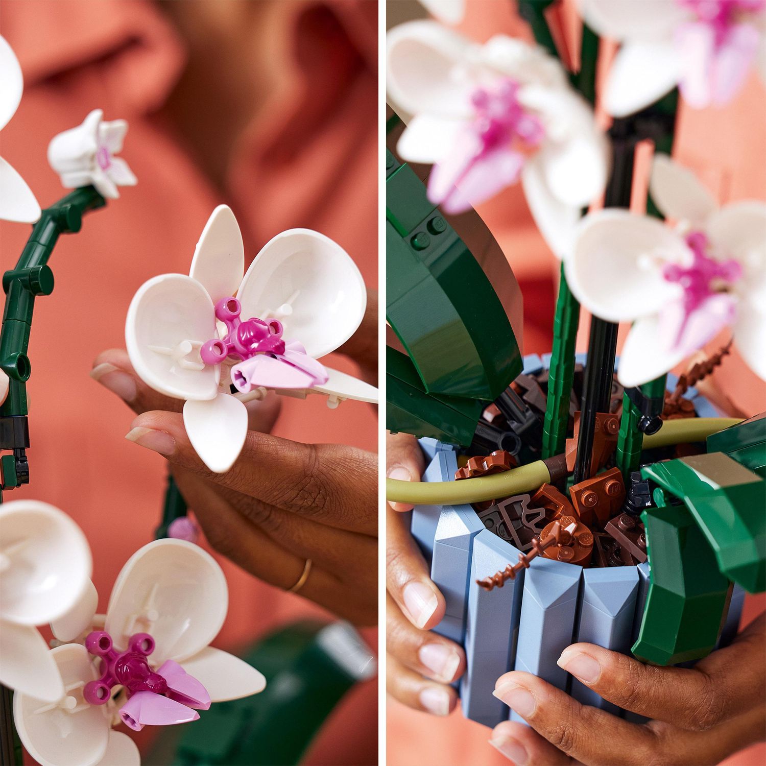 LEGO Icons 10311 Orchidea, Botanical Collection - LEGO