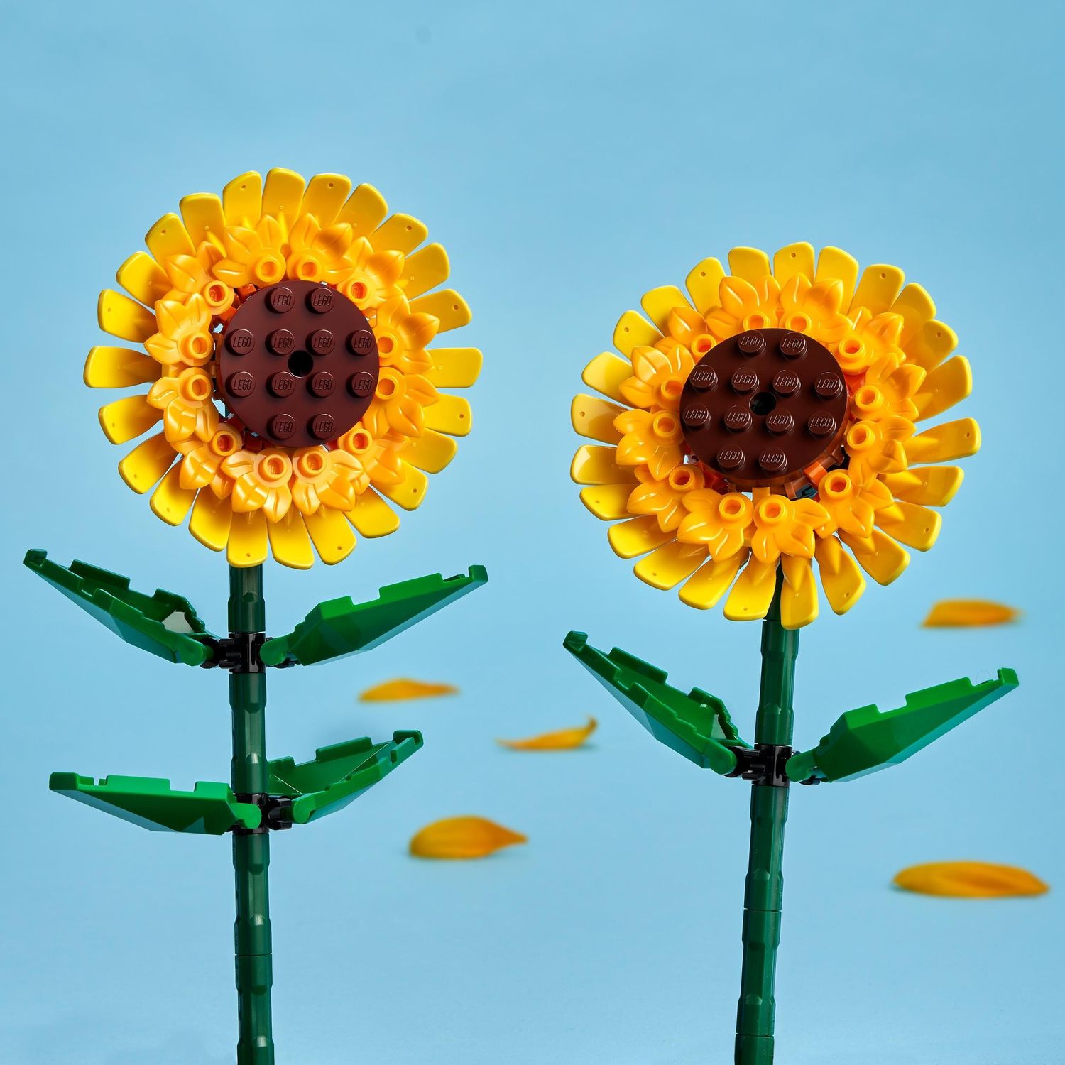 LEGO Creator 40524 Girasoli, Botanical Collection - LEGO