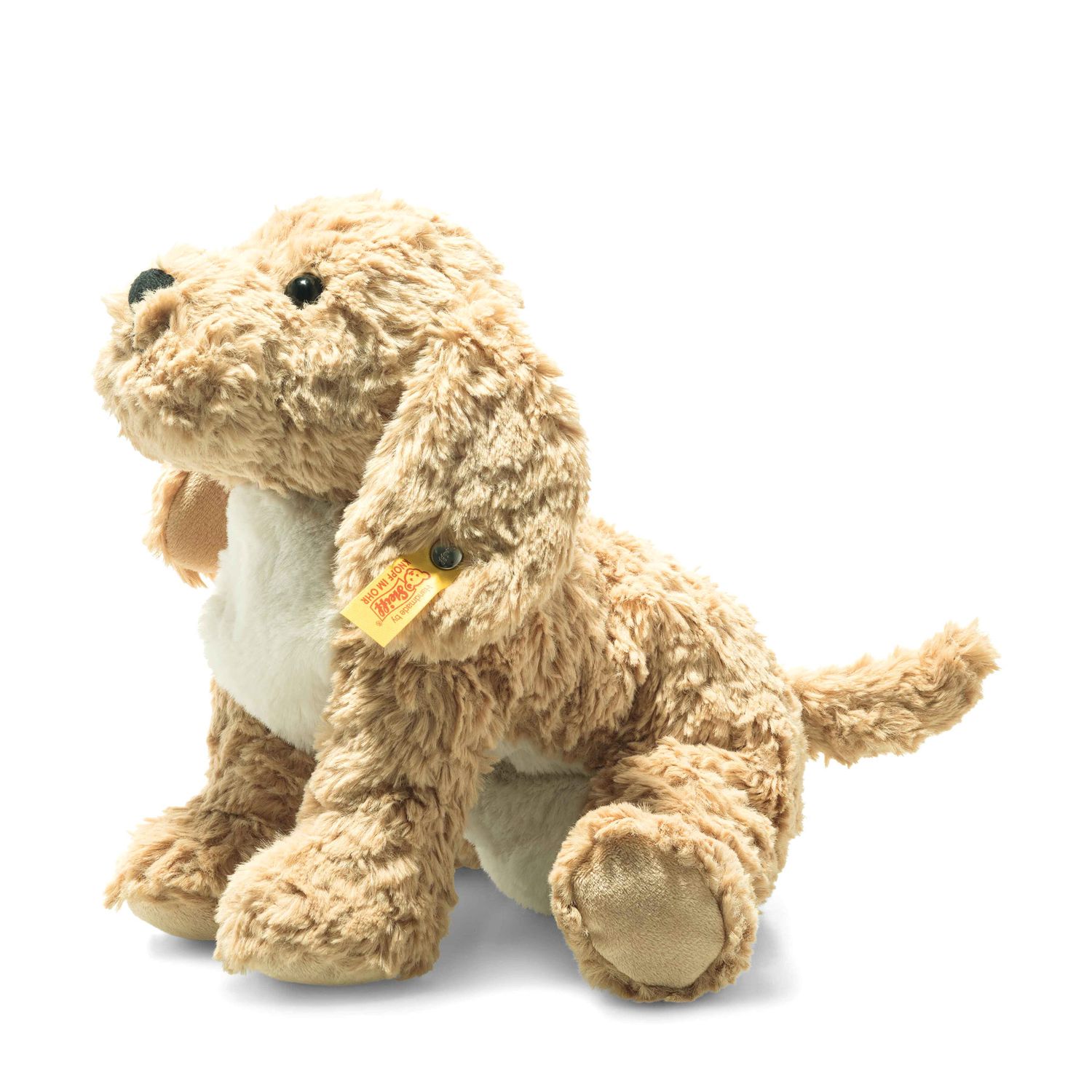Peluche Berno Goldendoodle 26 cm - Steiff