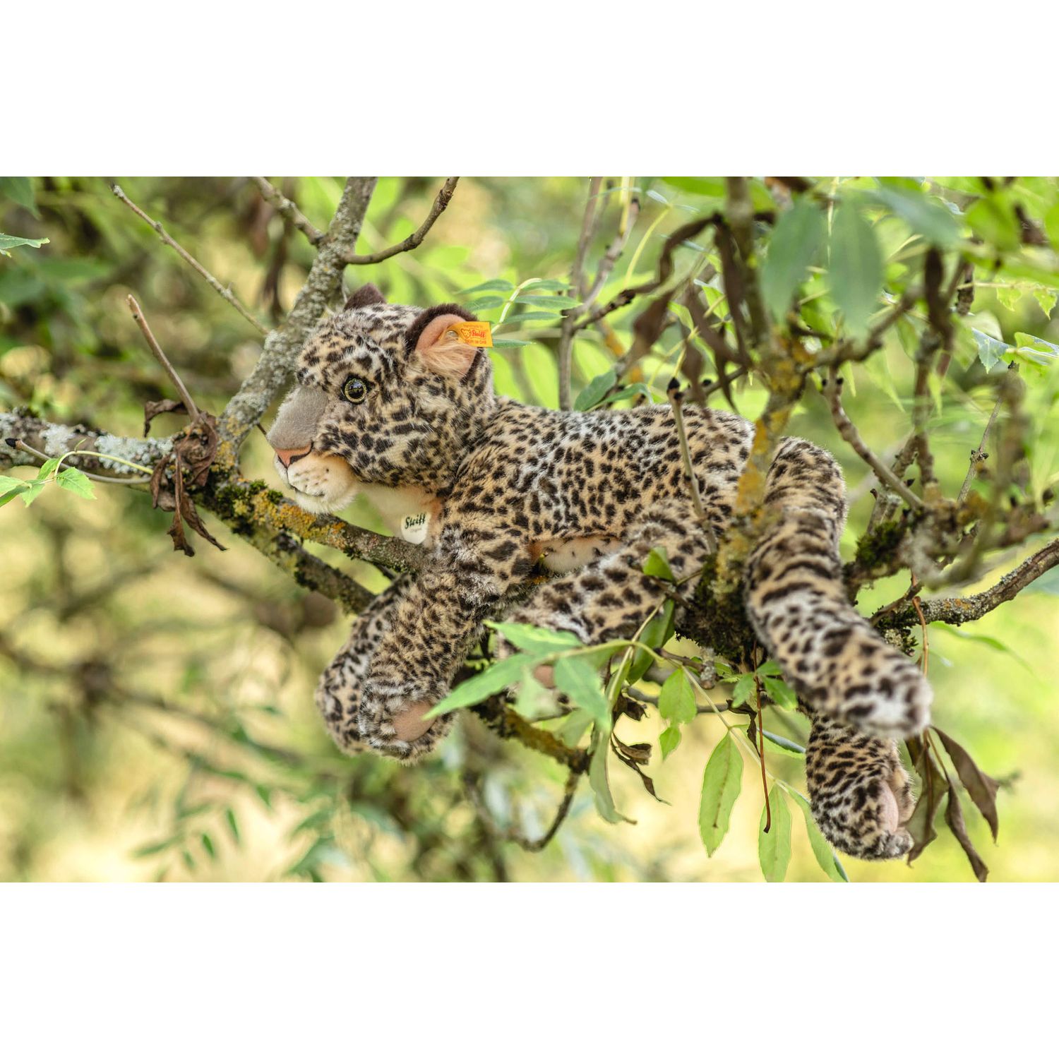 Peluche Pardy leopardo - Steiff