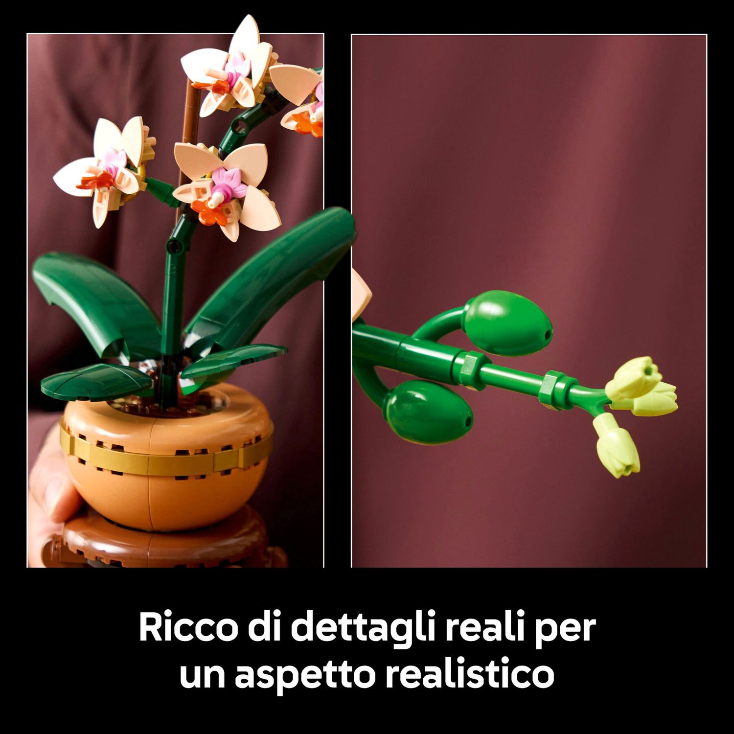 Lego Botanicals 10343 Mini-Orchidea - LEGO