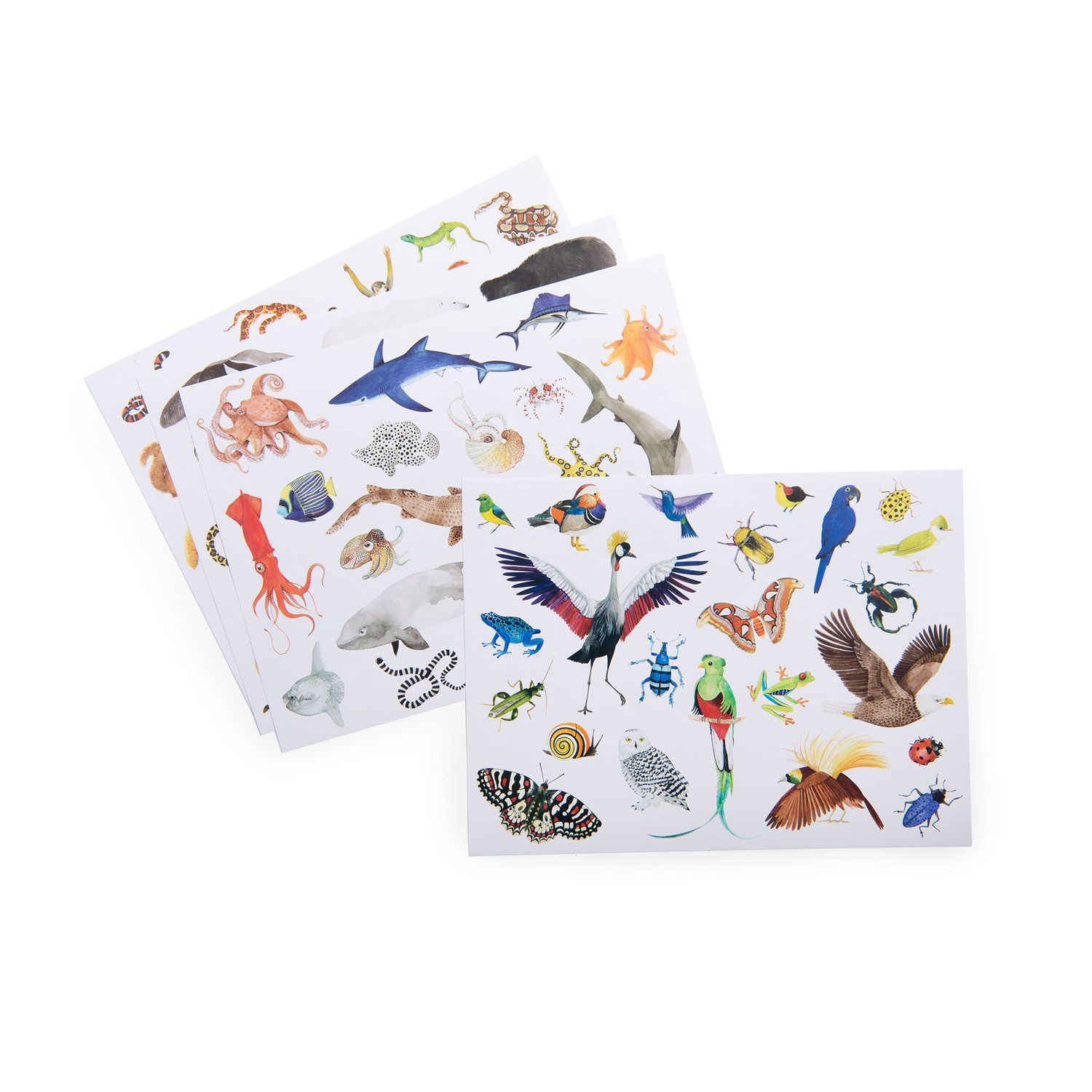Confenzione 78 Stickers - Tout autour du monde - Moulin Roty