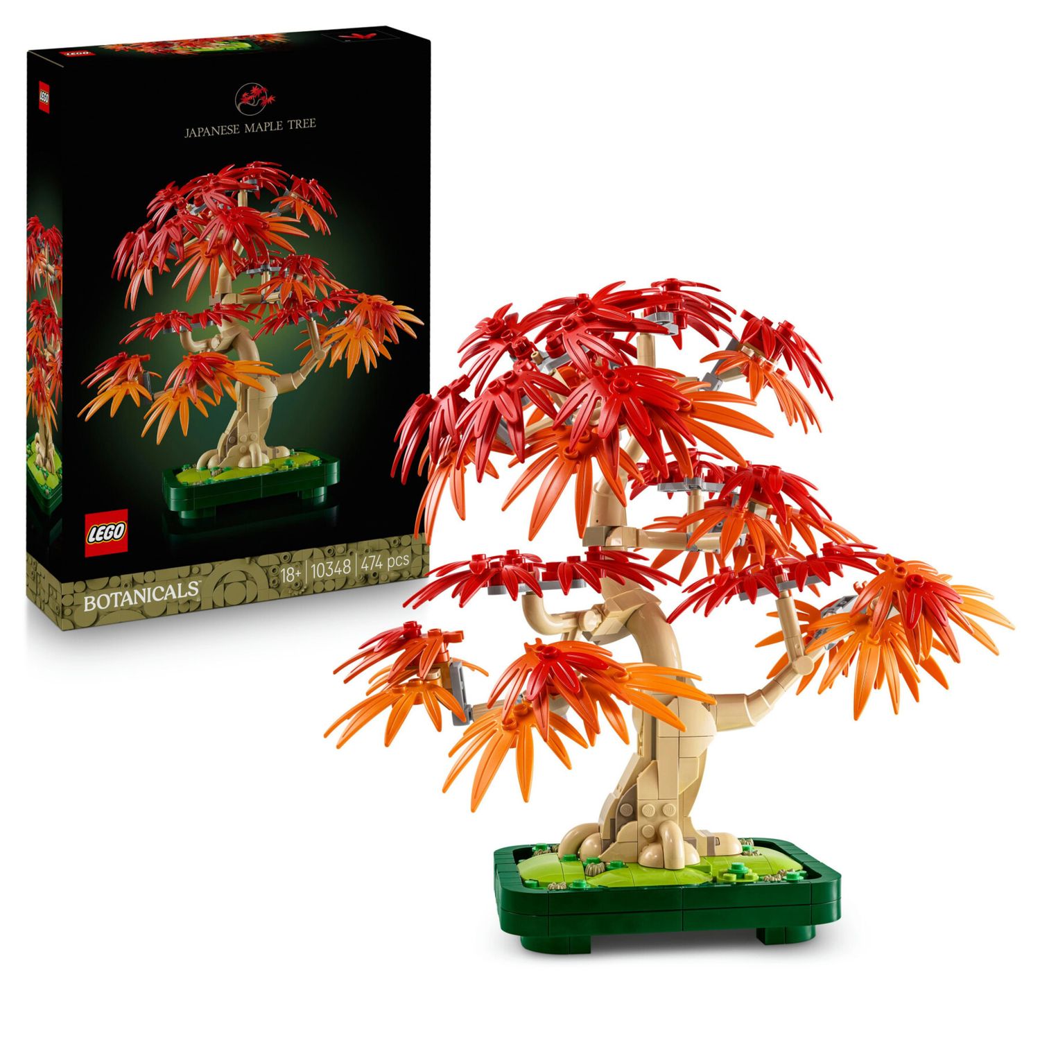 LEGO Botanicals 10348 Bonsai acero rosso - LEGO