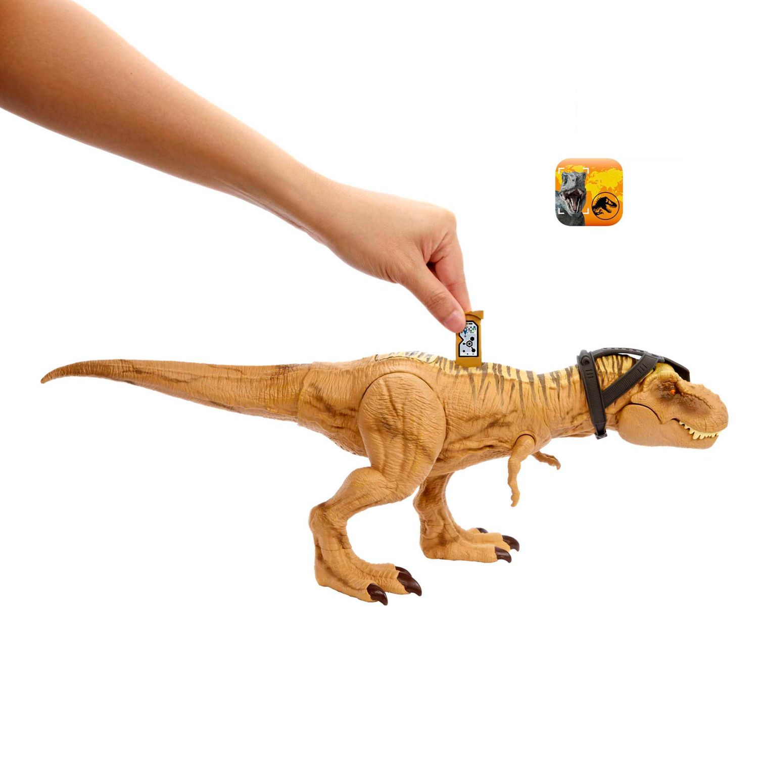 Jurassic World T-Rex Caccia e Divora, Action Figure con Suoni e Doppio Morso, Mattel - Jurassic World