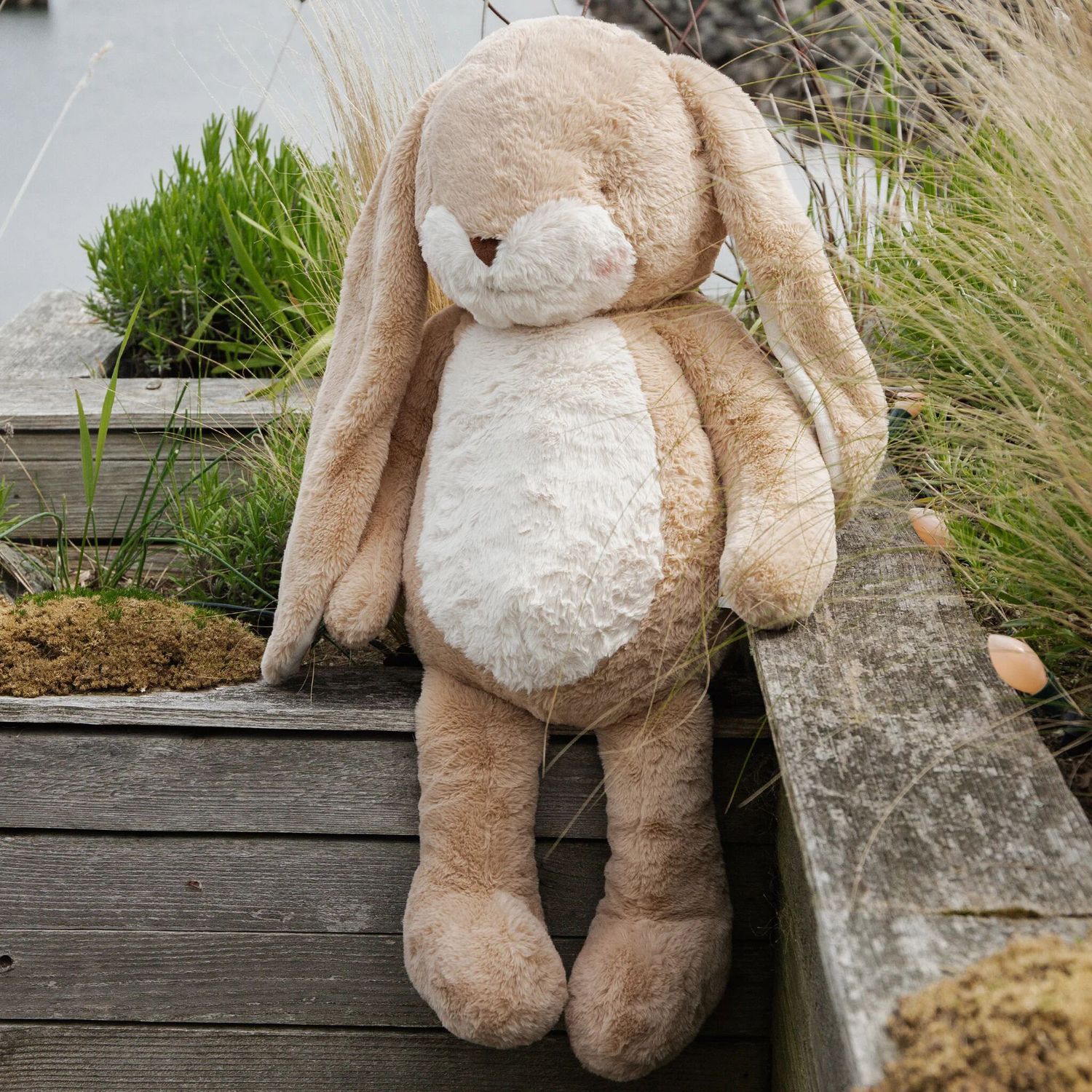Peluche Bigger Bunny Almond Joy 70 cm - Bunnies By The Bay