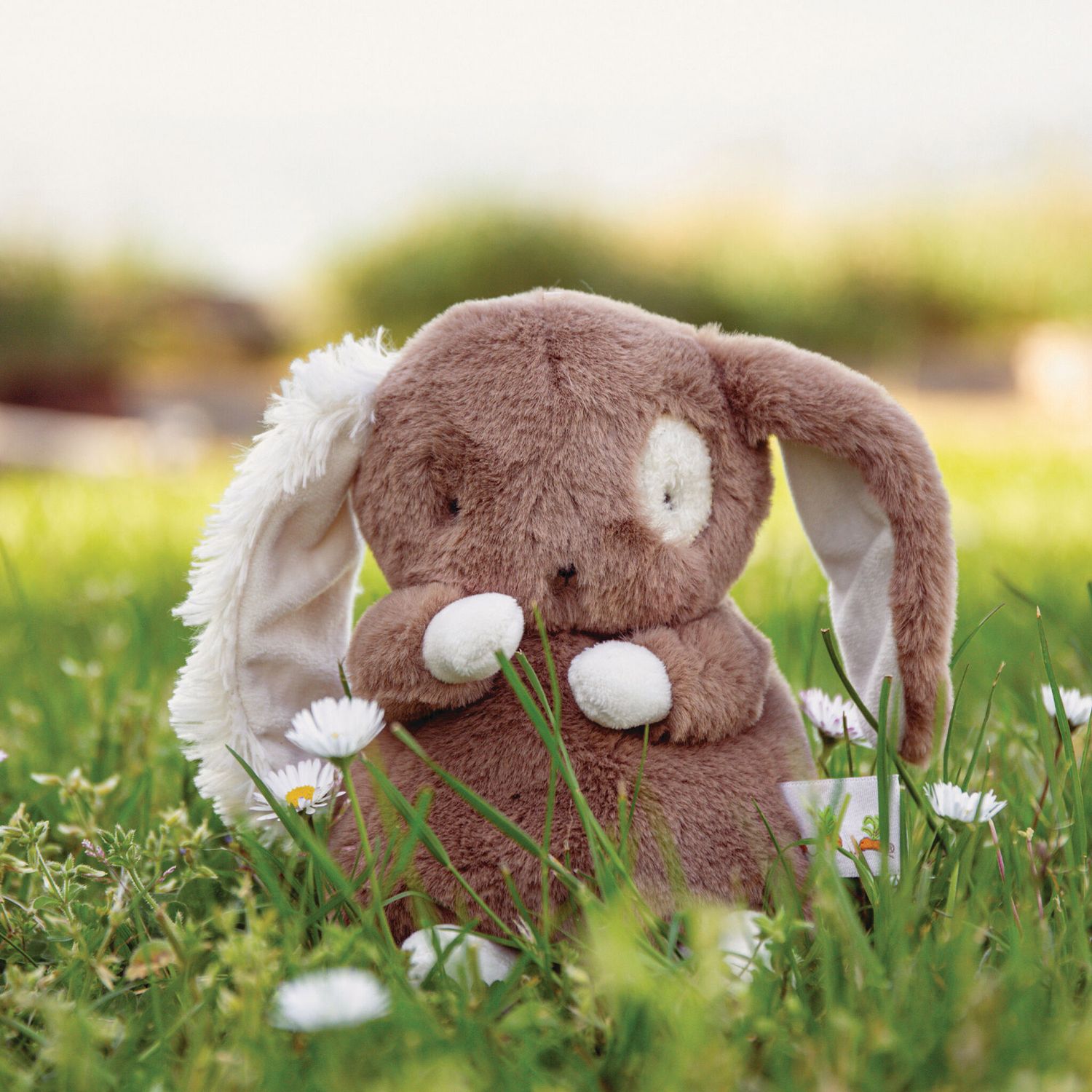 Peluche Baby Harriet - Bunnies By The Bay
