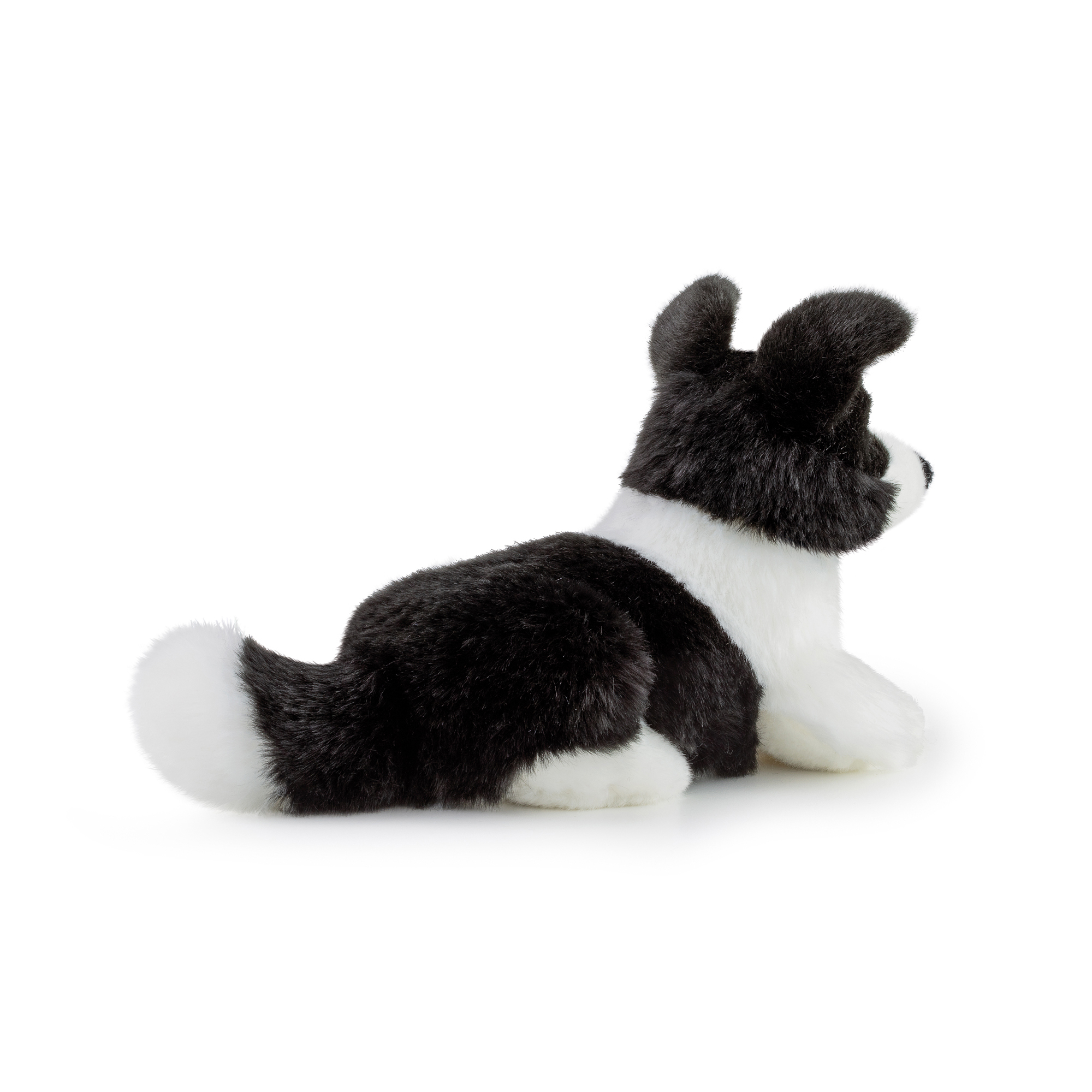 Peluche Border Collie Scott 18 cm - Trudi