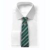 Cravatta deluxe Serpeverde con spilla - Harry Potter
