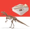 Kit paleontologo con scheletro T-Rex 3D - Discovery Mindblown