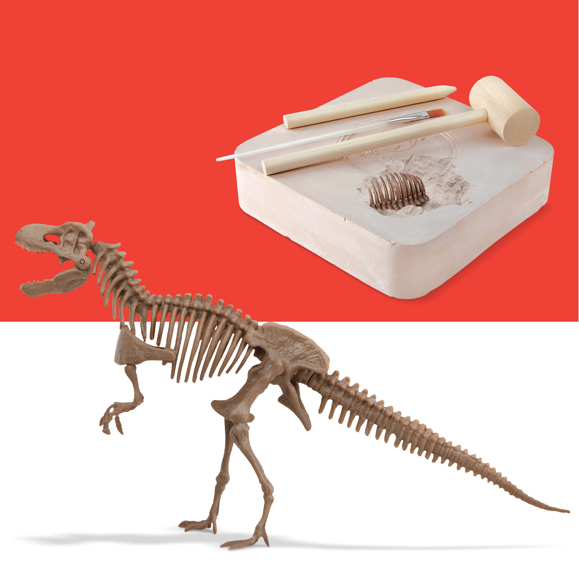 Kit paleontologo con scheletro T-Rex 3d