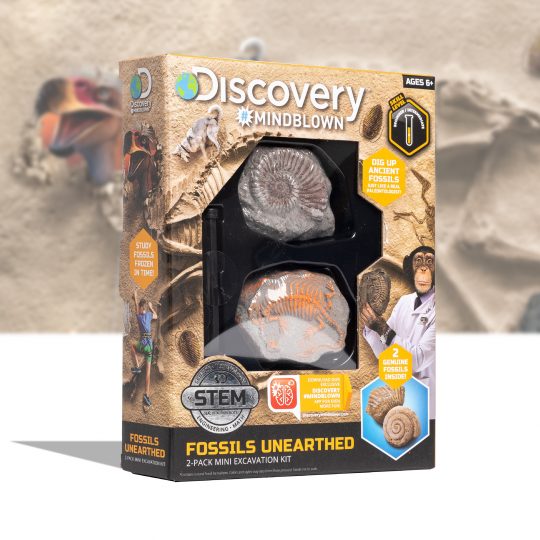Kit paleontologo con 2 mini fossili - Discovery Mindblown