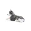 Peluche Husky Marcus 33 cm - Trudi