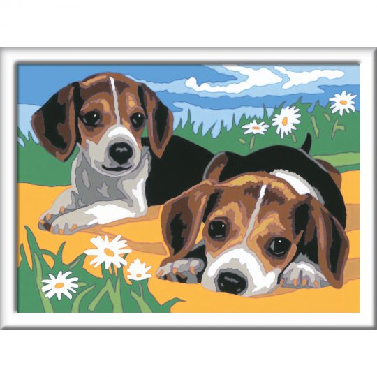 Creart Cuccioli Jack Russel, Serie D, Kit per dipingere con i numeri - Creart