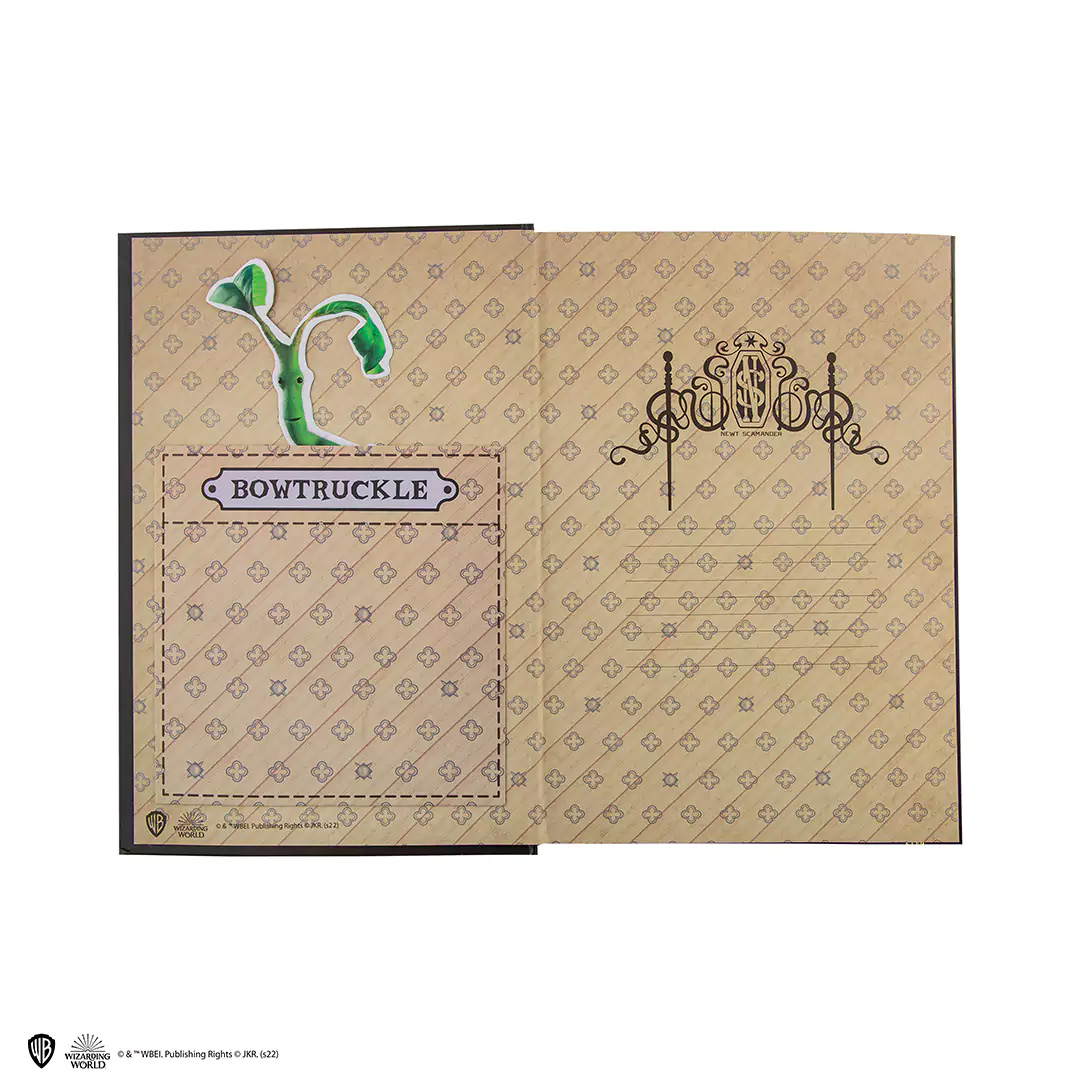 Quaderno rigido e segnalibro Newt Scamander - Harry Potter