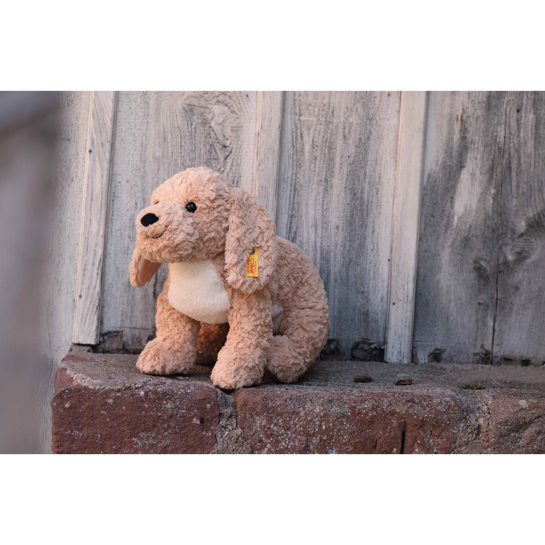 Peluche Berno Goldendoodle 36 cm - Steiff