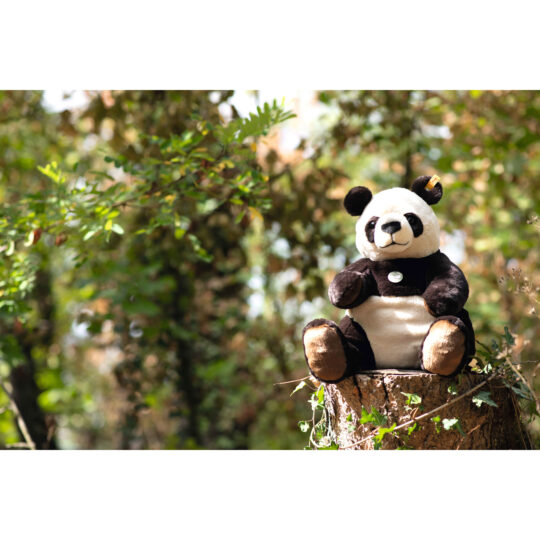 Peluche Panda gigante Pandi 40 cm - Steiff