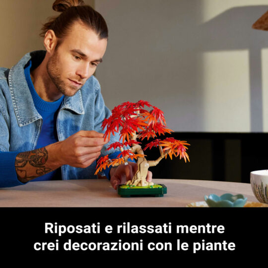 LEGO Botanicals 10348 Bonsai acero rosso - LEGO
