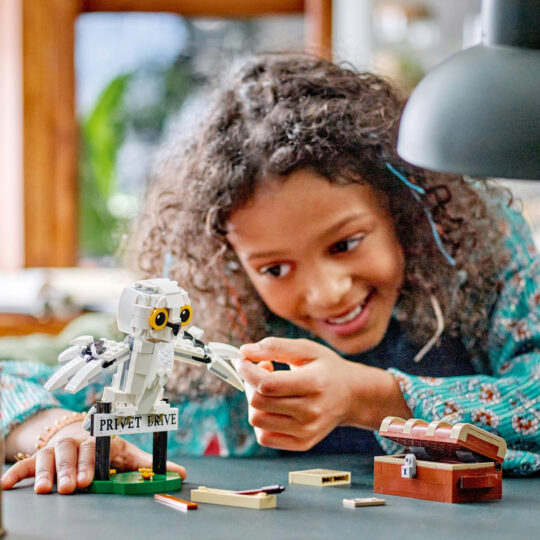 LEGO Harry Potter 76425 Edvige Al Numero 4 di Privet Drive - Harry Potter, LEGO